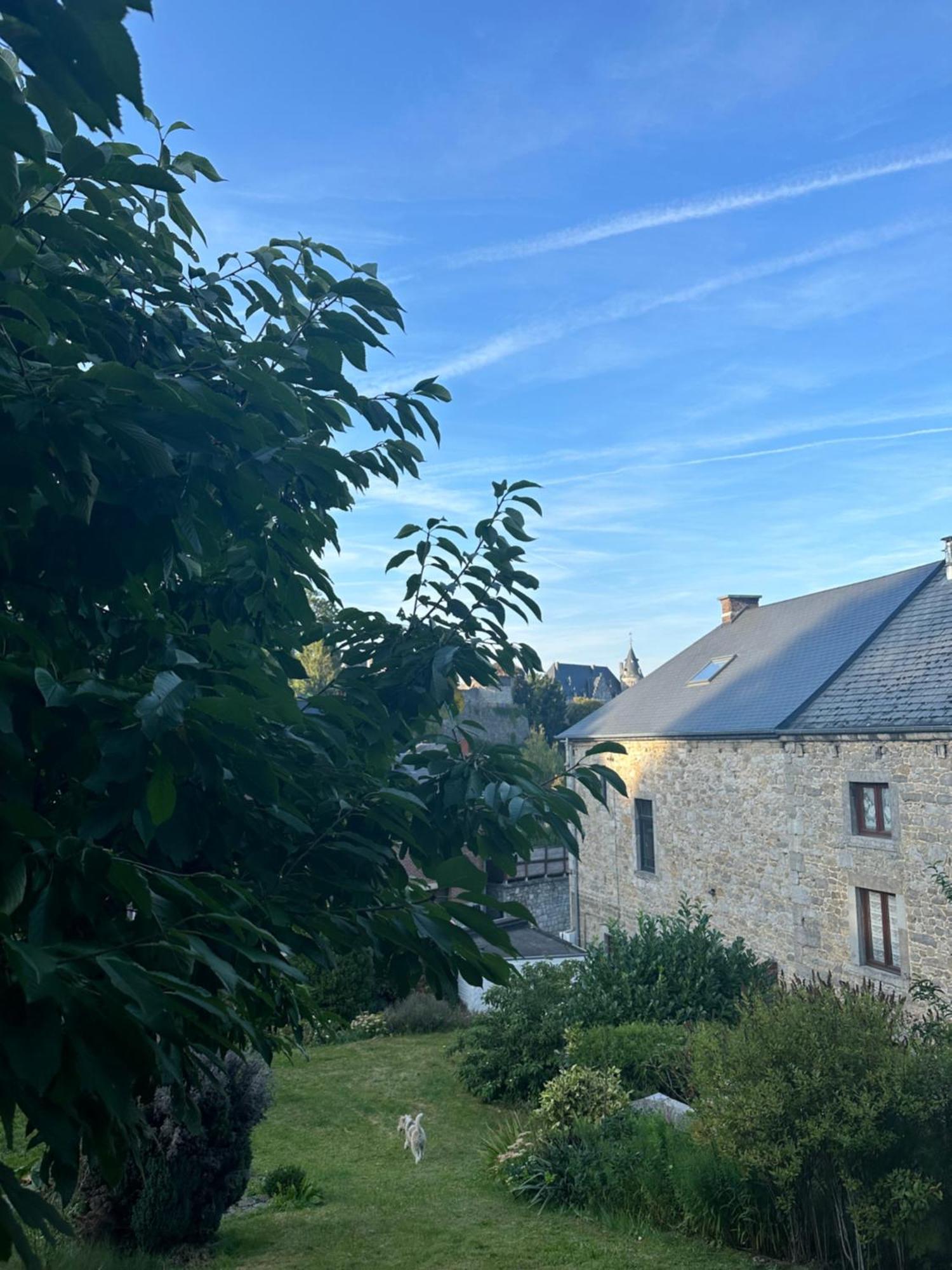 Maison Comtale Rochefort Eksteriør billede